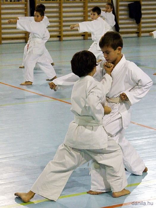 KarateKtur09_230